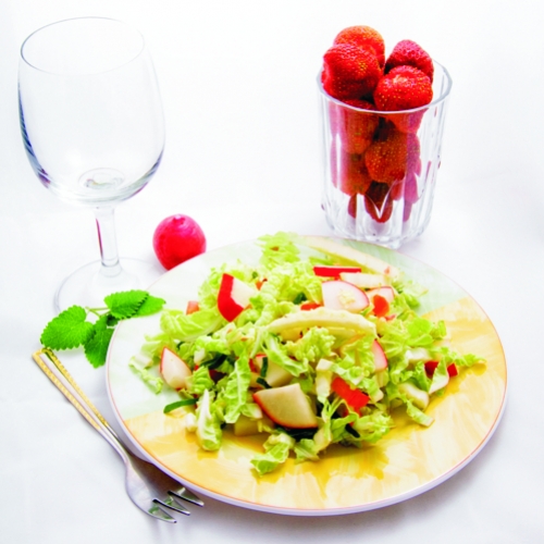 Vegetarianismo: como e por quê?
